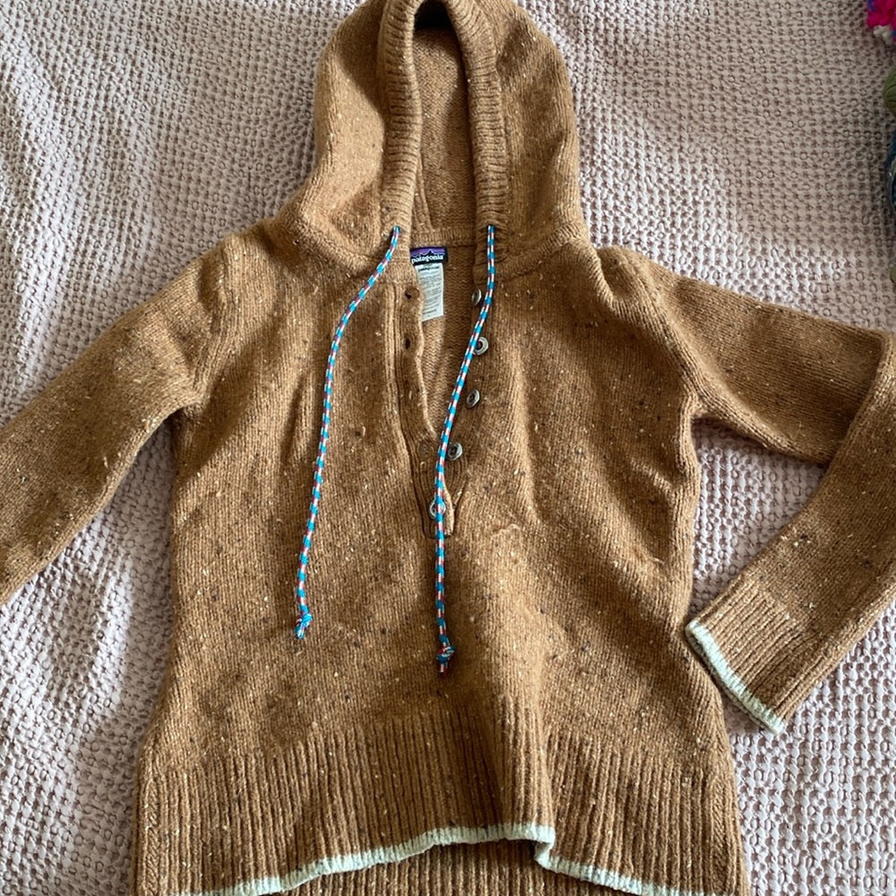 L Brown Patagonia Hoodie Sweater